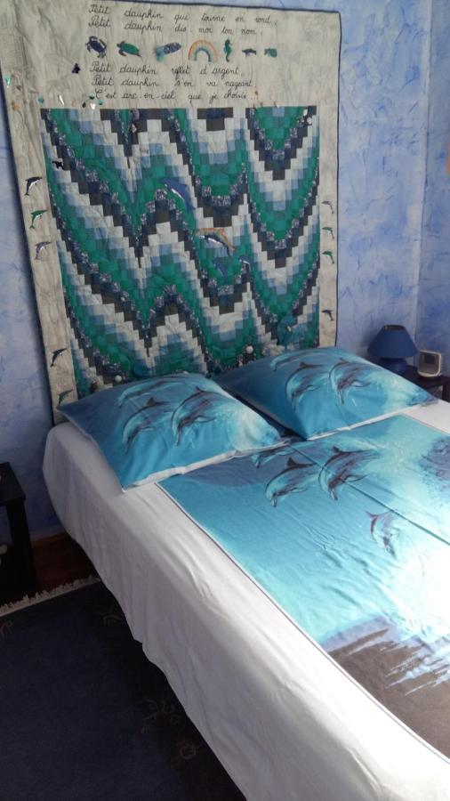 Les Hibiscus Bed and Breakfast Saint-Jean-le-Centenier Buitenkant foto