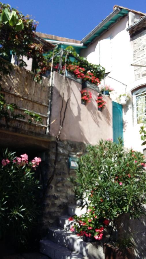 Les Hibiscus Bed and Breakfast Saint-Jean-le-Centenier Buitenkant foto